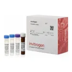 Thermo Fisher Scientific Haptoglobin Human ProcartaPlex Simplex Kit