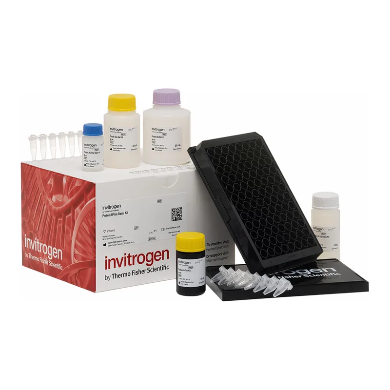 Thermo Fisher Scientific TARC (CCL17) Mouse ProcartaPlex Simplex Kit