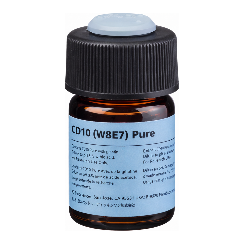 BD Purified Mouse Anti-Human CD10