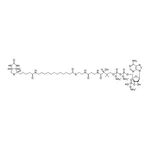 Merck 12:0 Biotinyl Coenzyme A