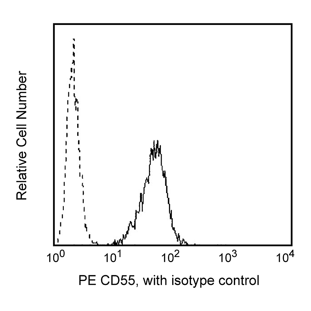 BD PE Mouse Anti-Human CD55