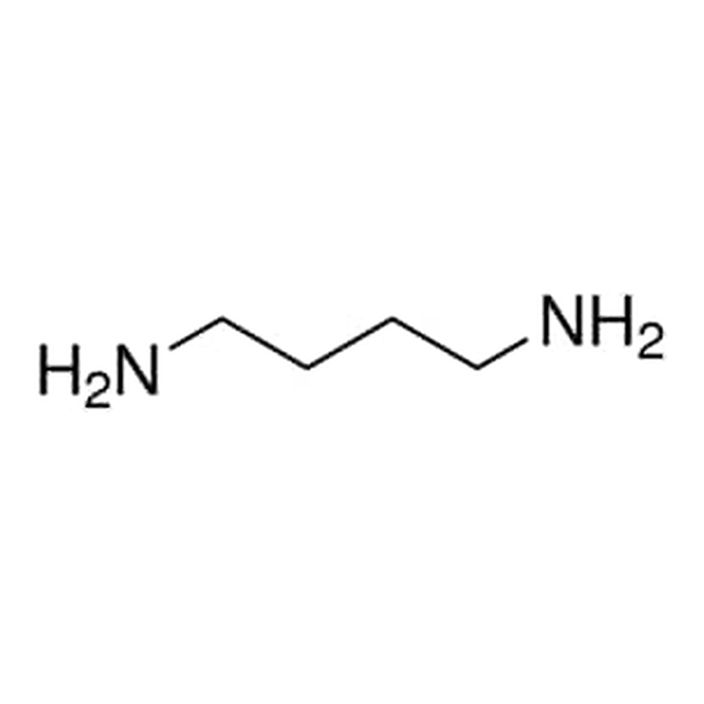 Merck 1,4-DIAMINOBUTANE, 99%