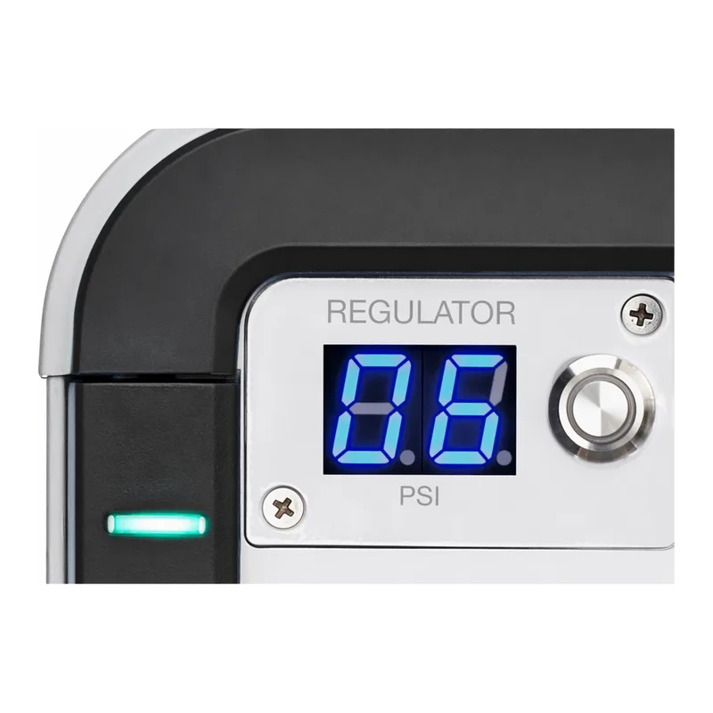 Thermo Fisher Scientific Dionex Inuvion Digital Gas Pressure Regulator