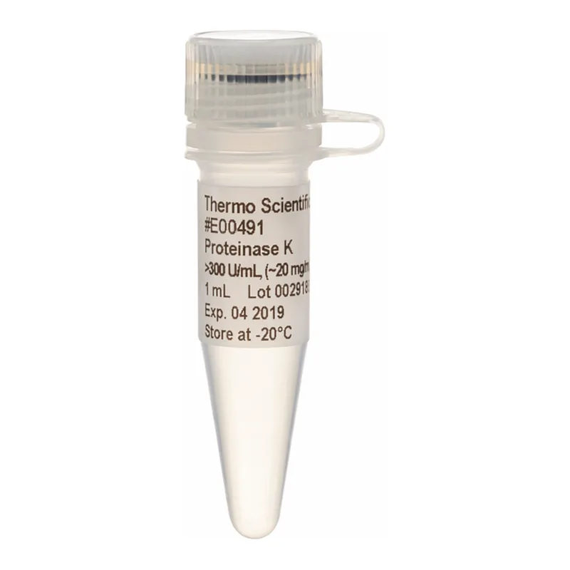 Thermo Fisher Scientific Proteinase K, recombinant, PCR grade, 1 mL