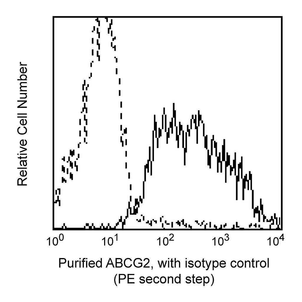 BD Purified Mouse Anti-Human CD338