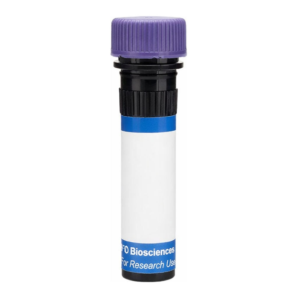 BD RB744 Mouse Anti-Hamster IgG