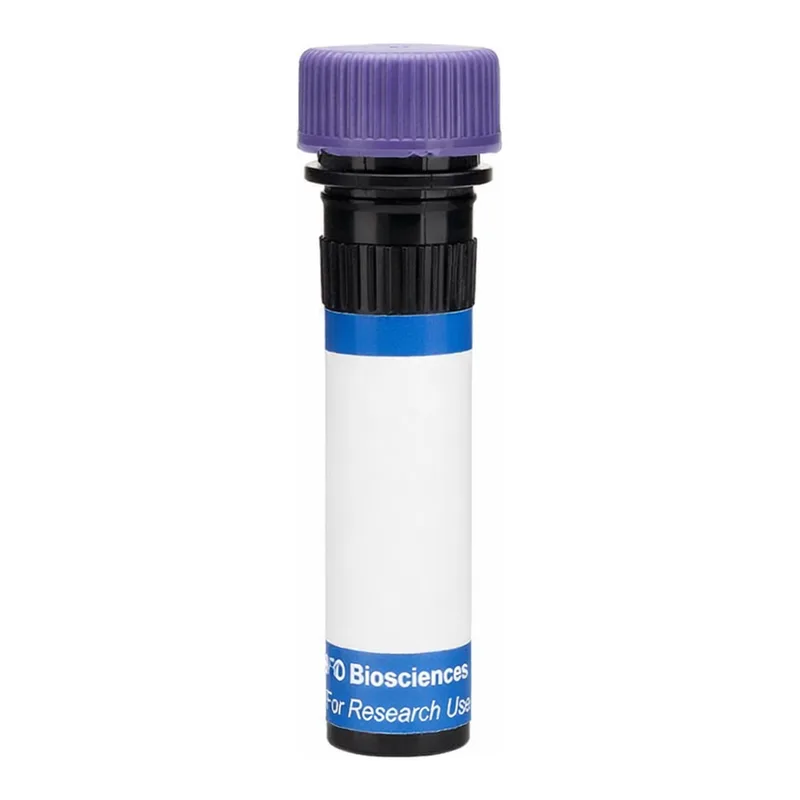 BD RB744 Mouse Anti-Hamster IgG