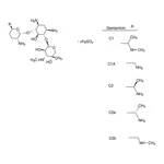Merck Gentamicin sulfate salt
