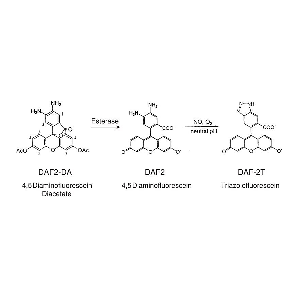 Merck 4,5-Diaminofluorescein diacetate solution