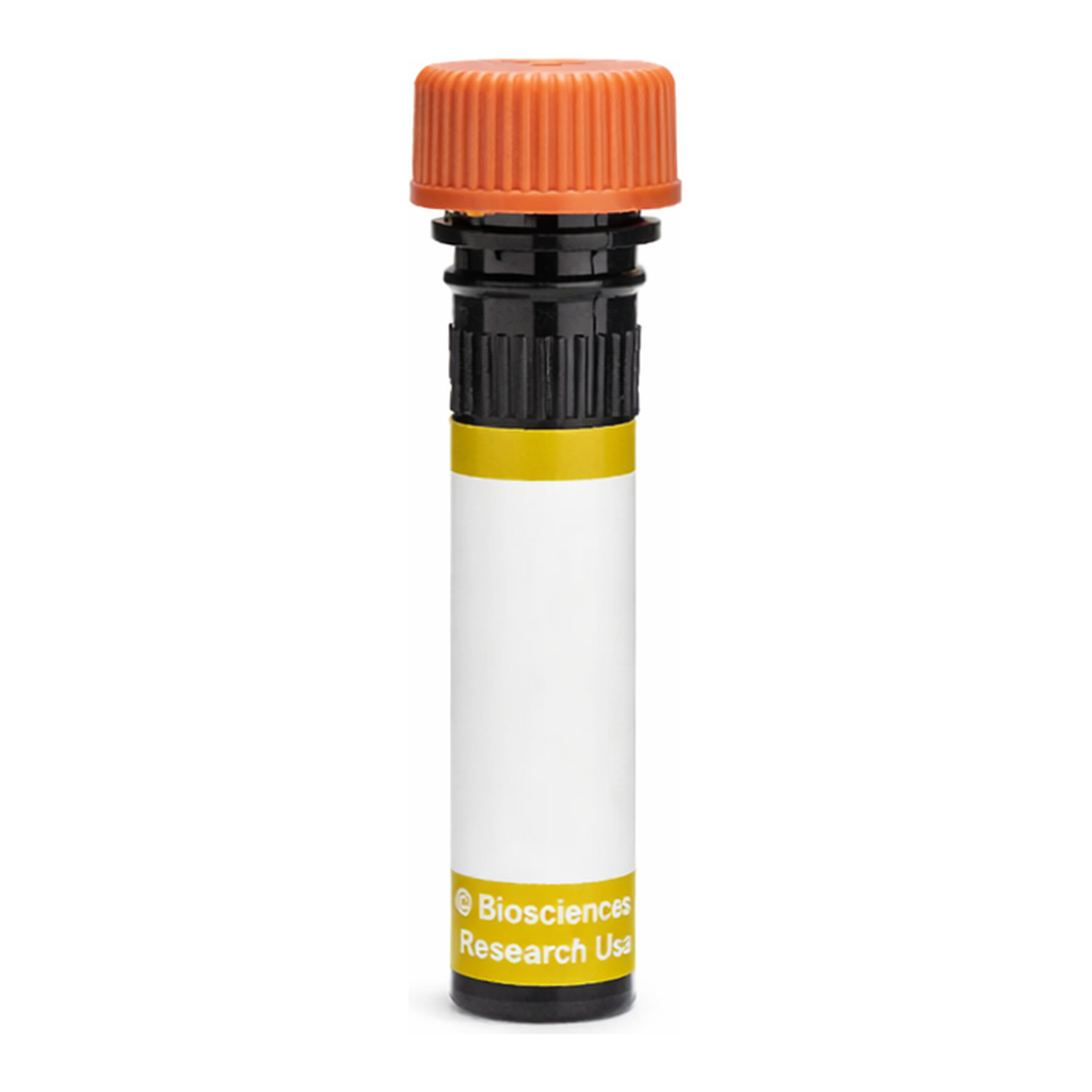 BD RY610 Mouse Anti-Human Alkaline Phosphatase