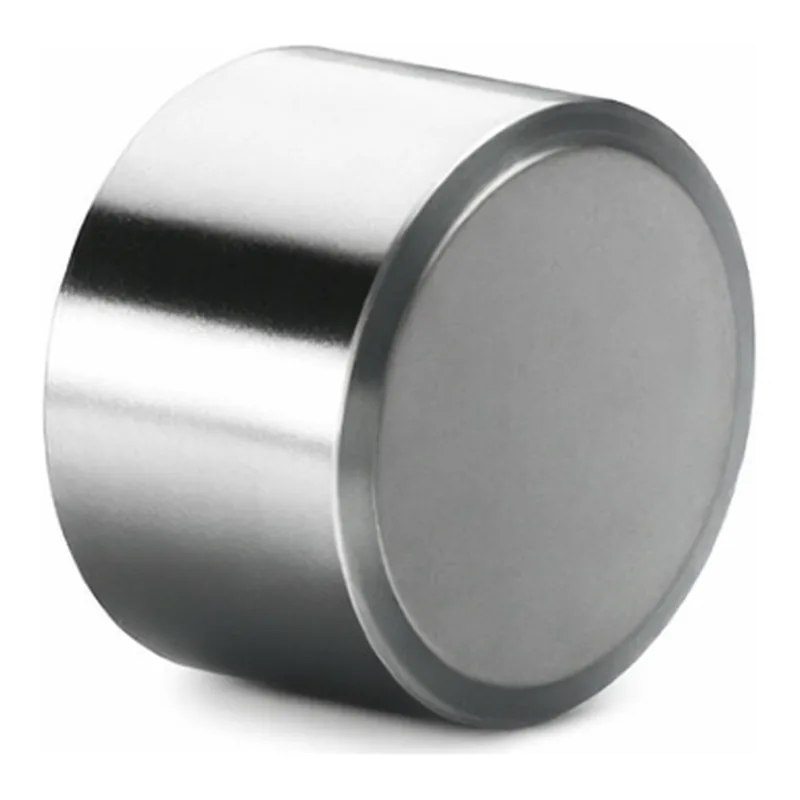Waters XTerra MS C8 Prep Guard Cartridge, 125Å, 5 µm, 19 mm X 10 mm, 1/pk