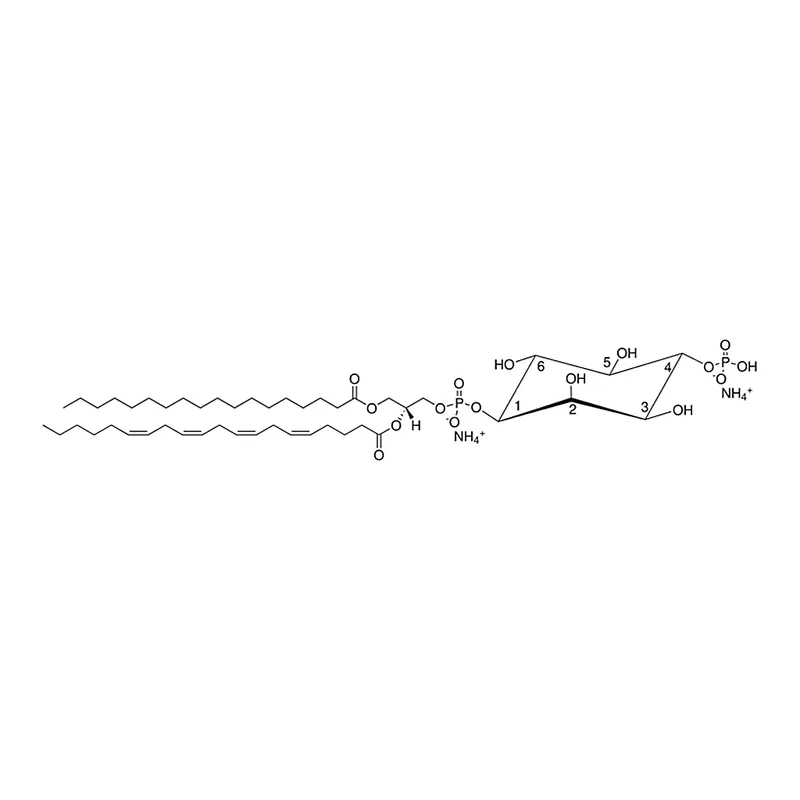 Merck Brain PI(4)P