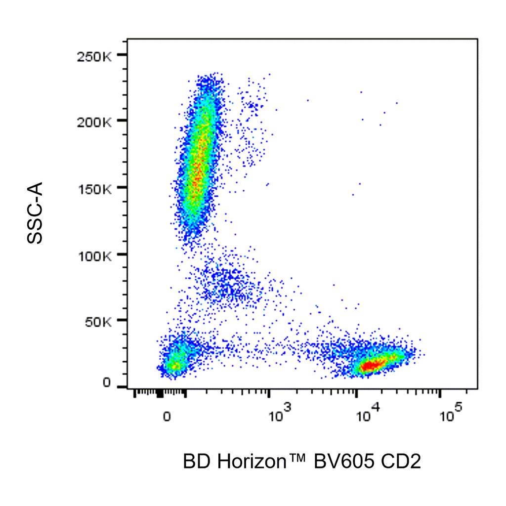 BD BV605 Mouse Anti-Human CD2