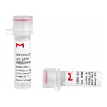 Merck MISSION(R) esiRNA