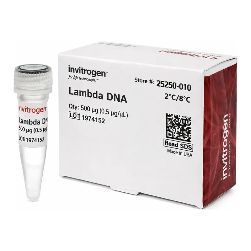 Thermo Fisher Scientific λ DNA (cIind 1 ts857 Sam 7)
