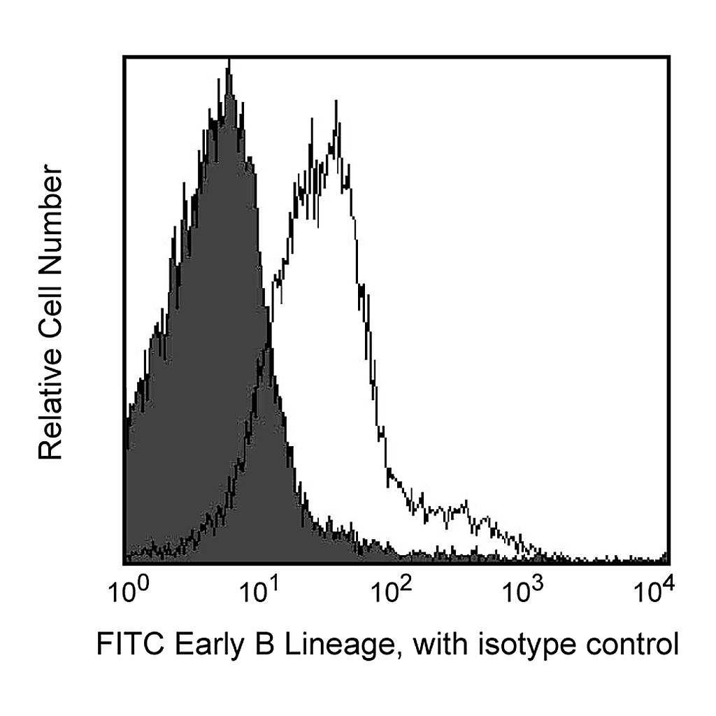 BD FITC Rat Anti-Mouse CD93 (Early B Lineage)
