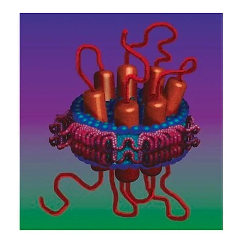 Merck MEMBRANE SCAFFOLD PROTEIN 1E3D1