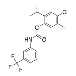 Merck 4-CHLORO-2-ISOPROPYL-5-METHYLP - 10 MG&