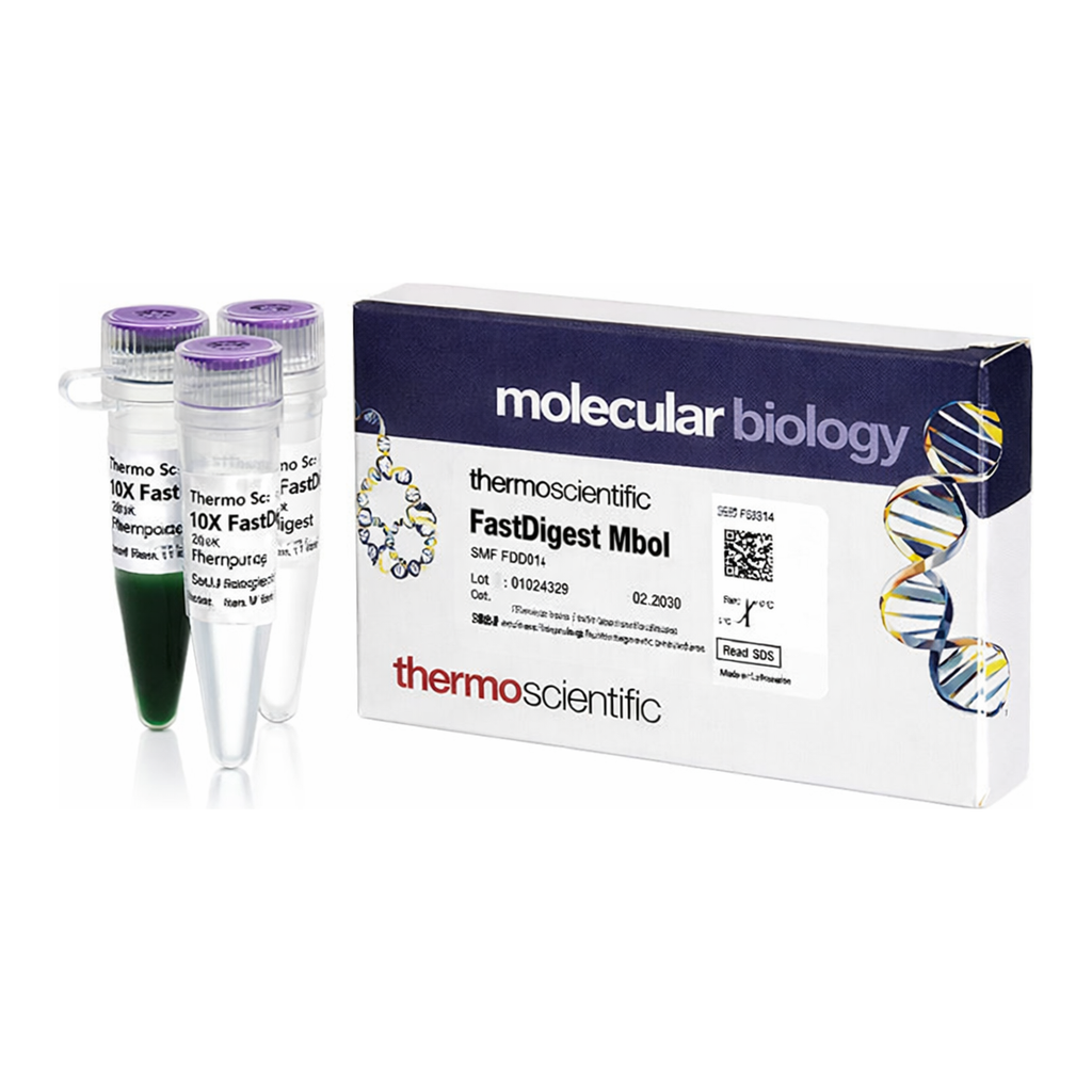 Thermo Fisher Scientific FastDigest MboI