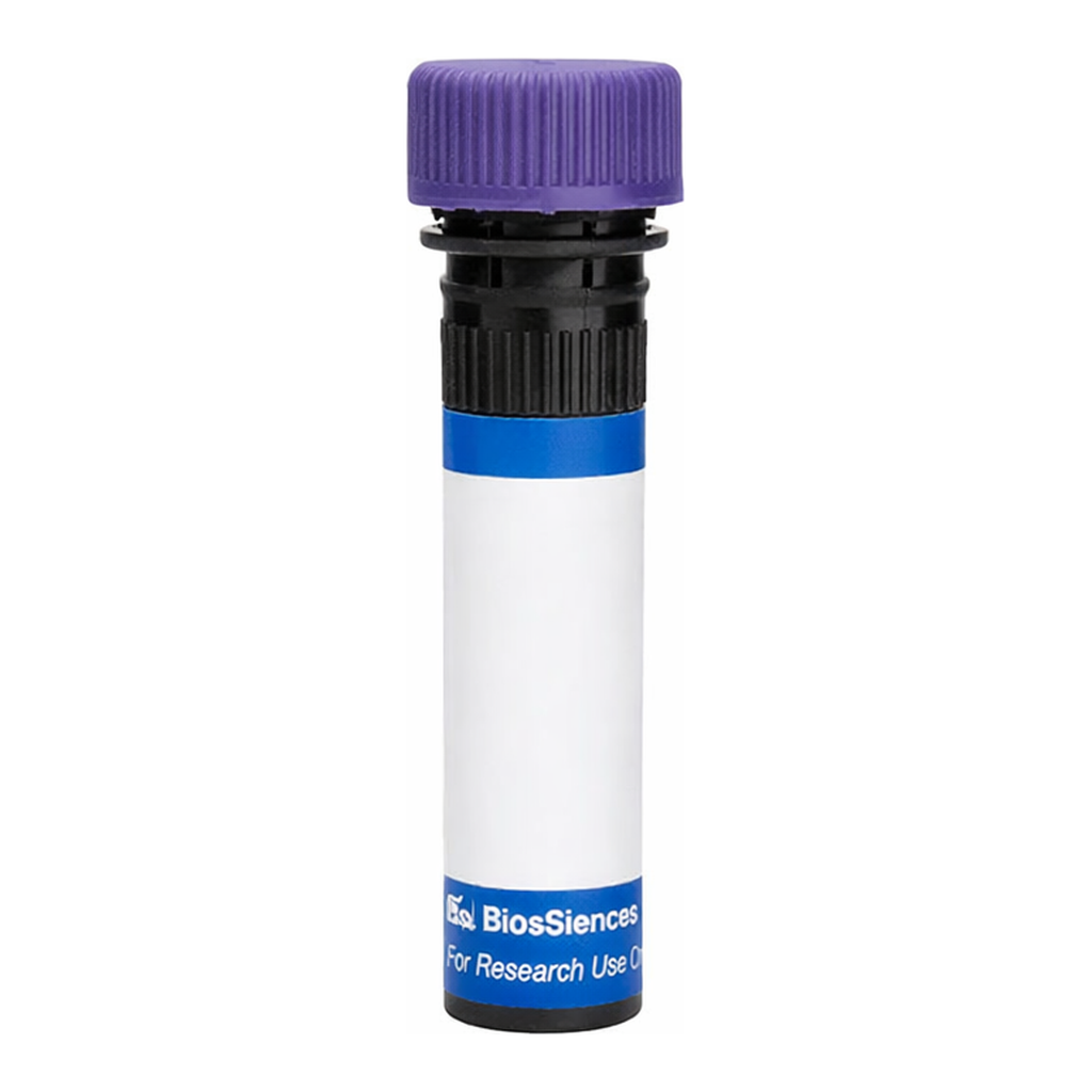BD RB744 Rat Anti-Mouse TIM-2