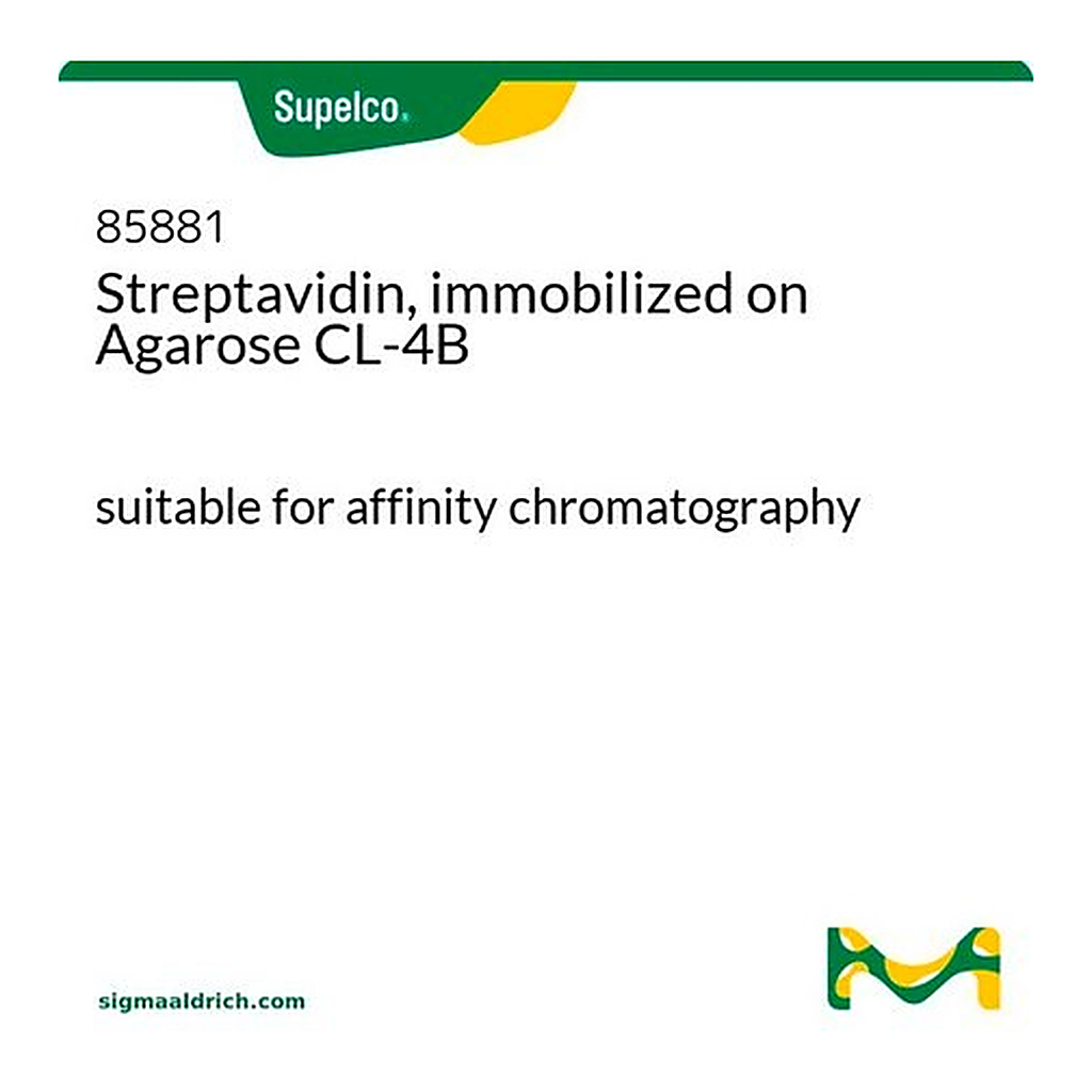 Merck Streptavidin, immobilized on Agarose CL-4B