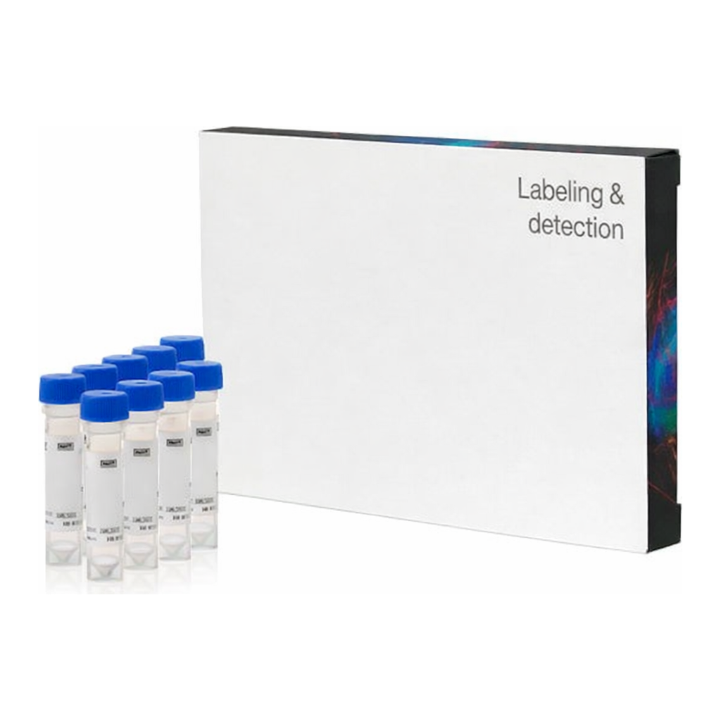 Thermo Fisher Scientific Glutathione Ethyl Ester, Biotin Amide (BioGEE) (Glutathiolation Detection Reagent) - Special Packaging