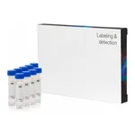 Thermo Fisher Scientific Glutathione Ethyl Ester, Biotin Amide (BioGEE) (Glutathiolation Detection Reagent) - Special Packaging