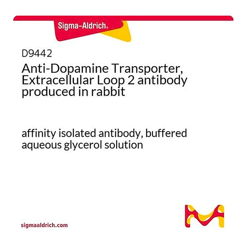 Merck Anti-Dopamine Transporter, Extracellular Loop 2 antibody produced in rabbit