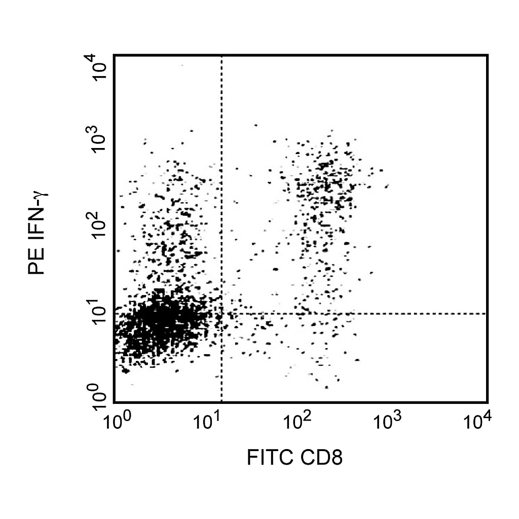 BD PE Rat Anti-Mouse IFN-γ