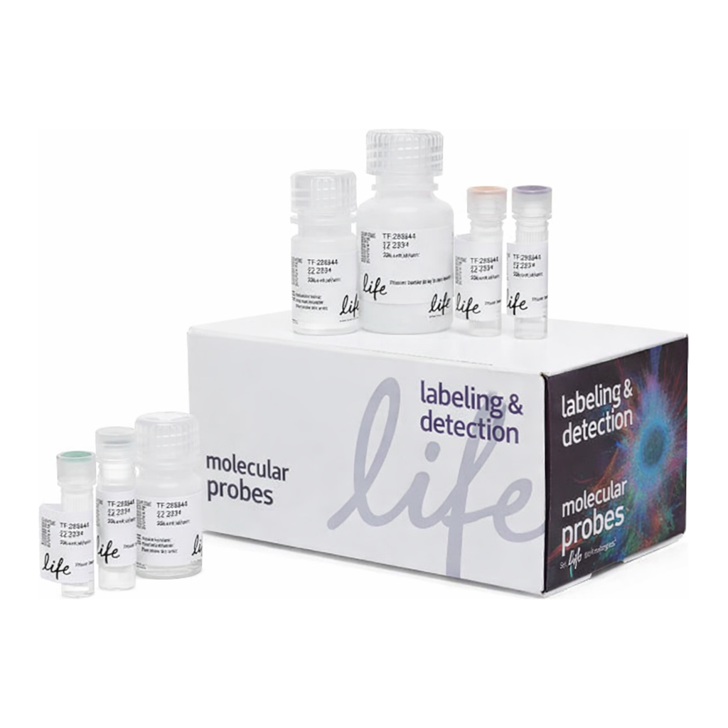 Thermo Fisher Scientific Click-iT Plus OPP Alexa Fluor 647 Protein Synthesis Assay Kit