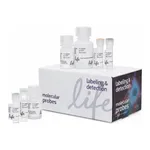 Thermo Fisher Scientific Click-iT Plus OPP Alexa Fluor 647 Protein Synthesis Assay Kit