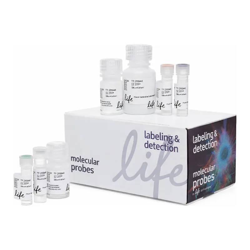 Thermo Fisher Scientific Click-iT Plus OPP Alexa Fluor 647 Protein Synthesis Assay Kit