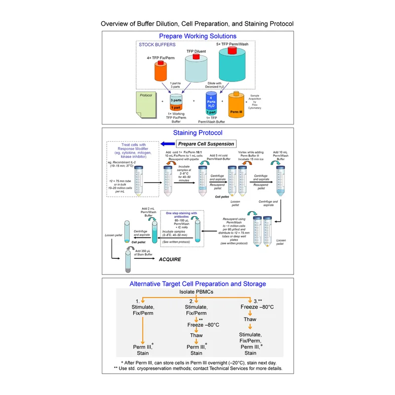 BD Transcription Factor Phospho Buffer Set
