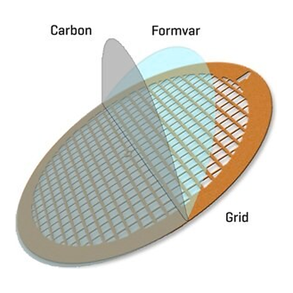 Merck FORMVAR/CARBON SUPPORTED COPPER GRIDS,&