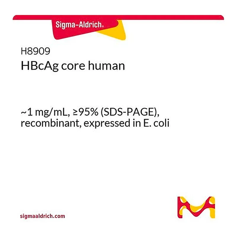 Merck HBcAg core human