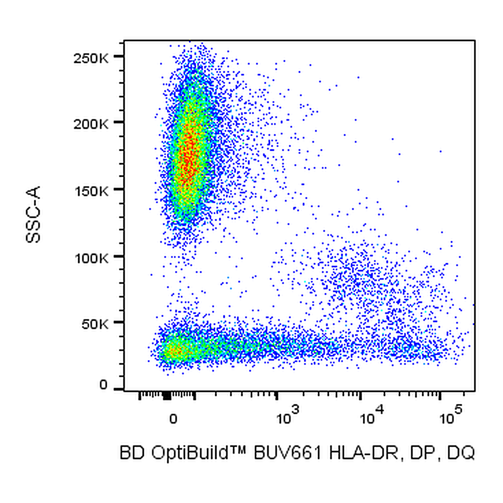 BD BUV661 Mouse Anti-Human HLA-DR, DP, DQ