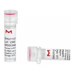 Merck MISSION(R) esiRNA