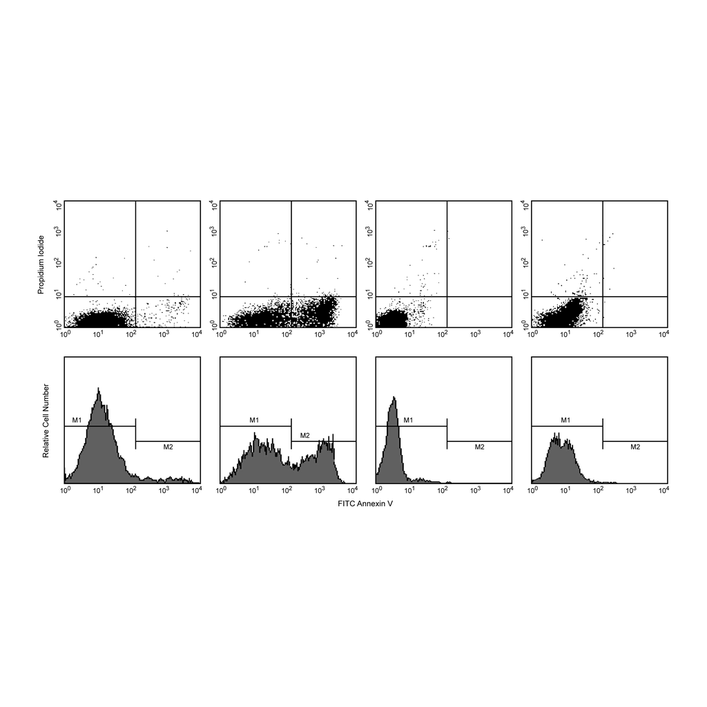 BD FITC Annexin V Apoptosis Detection Kit II