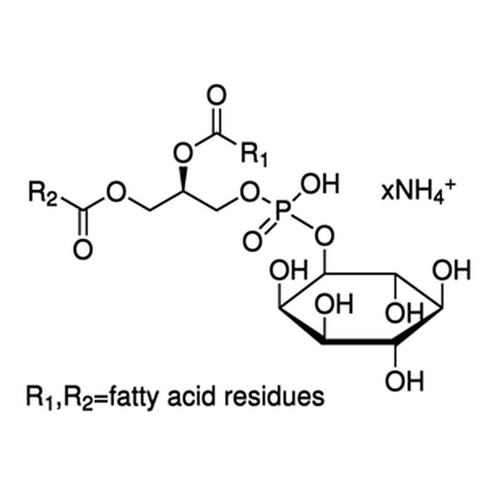 Merck L-A-PHOSPHATIDYLINOSITOL AMMONIUM FROM &