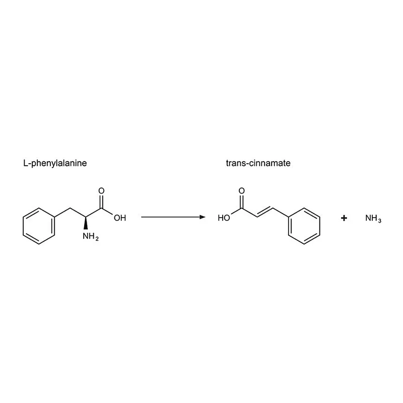 Merck Phenylalanine Ammonia-Lyase from Rhodotorula glutinis