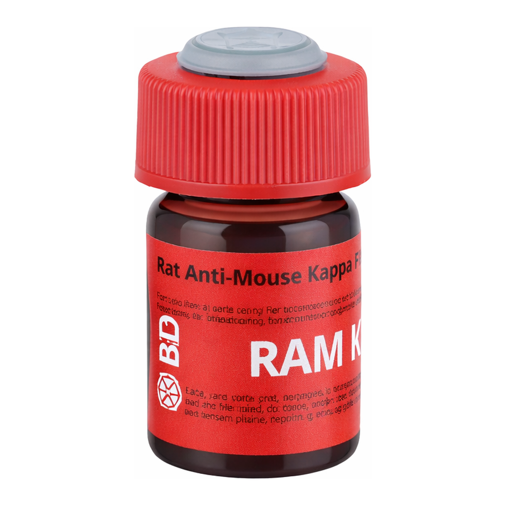 BD PE Rat Anti-Mouse Kappa