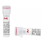 Merck MISSION(R) esiRNA
