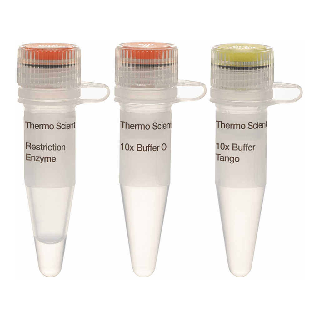 Thermo Fisher Scientific Eco130I (StyI) (10 U/&mu;L)