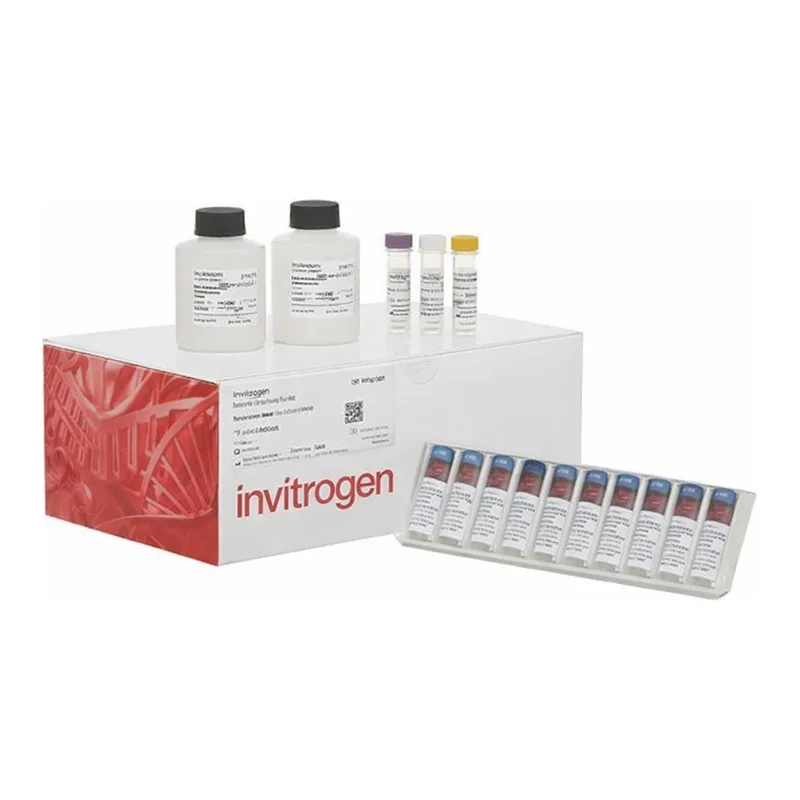 Thermo Fisher Scientific Human IL-2 Matched Antibody Pair