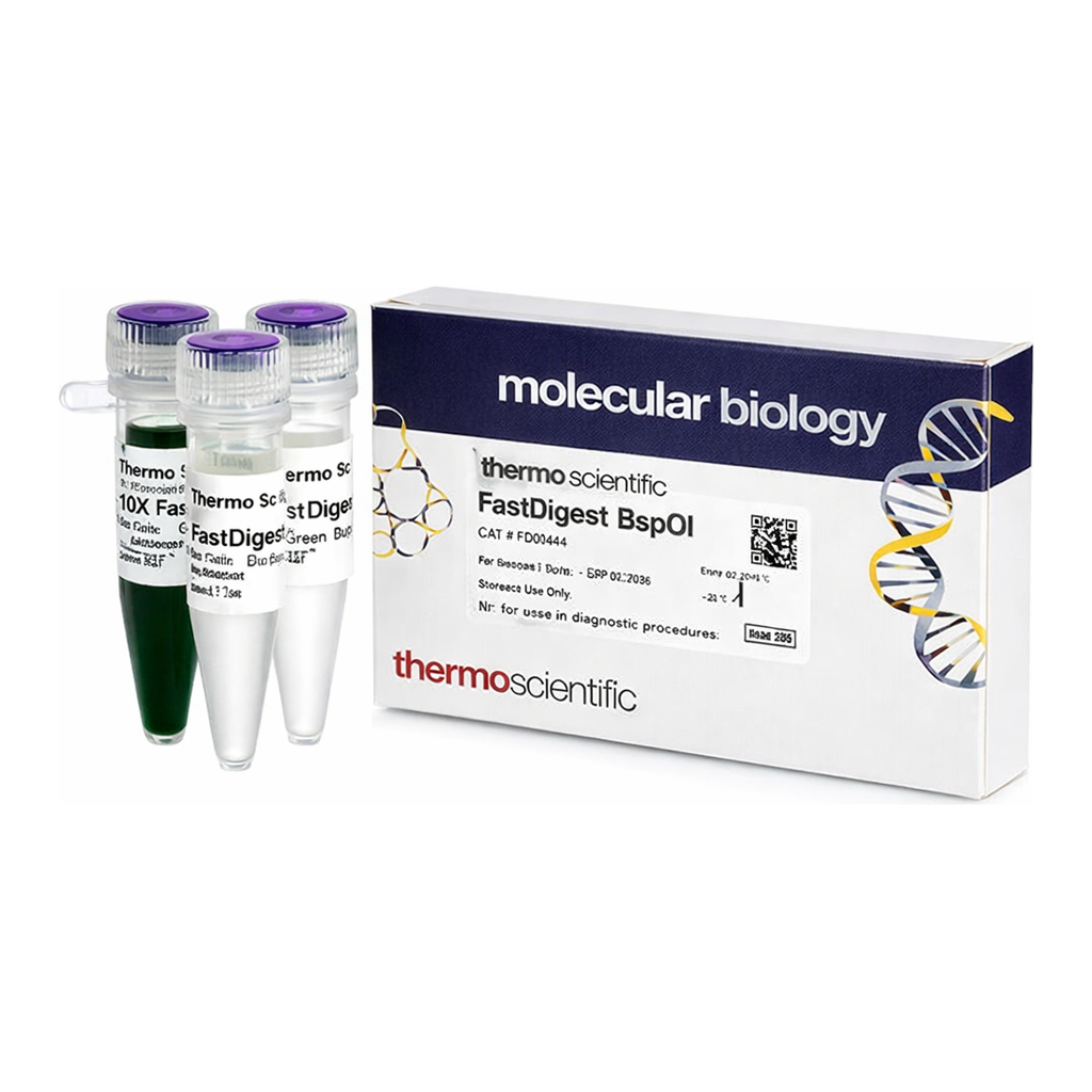 Thermo Fisher Scientific FastDigest BspOI