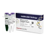 Thermo Fisher Scientific FastDigest BspOI