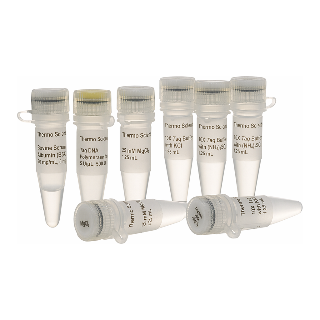 Thermo Fisher Scientific Taq DNA Polymerase, native, with BSA (5 U/μL), 500 units
