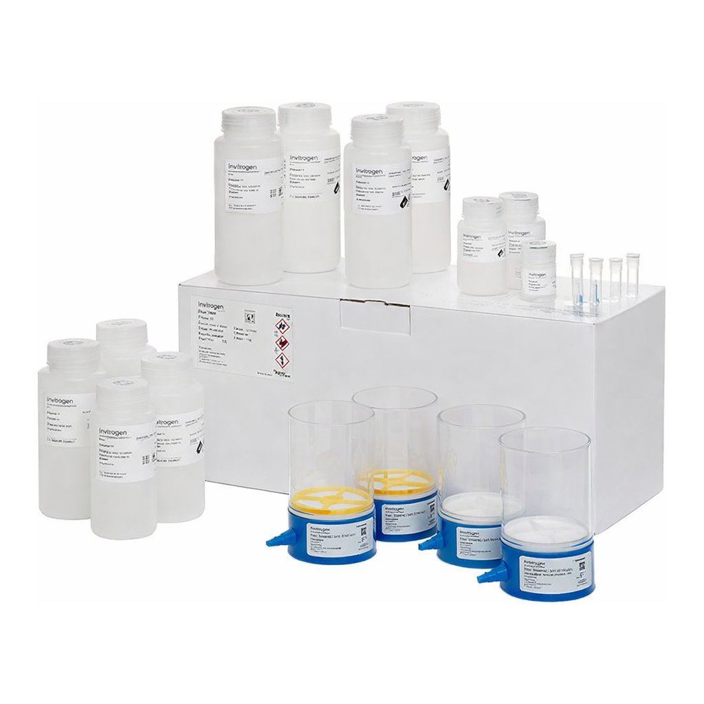 Thermo Fisher Scientific PureLink Expi Endotoxin-Free Giga Plasmid Purification Kit