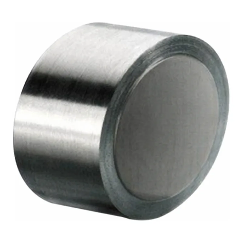 Waters Atlantis T3 Prep Guard Cartridge, 100Å, 10 µm, 19 mm X 10 mm, 1/pk