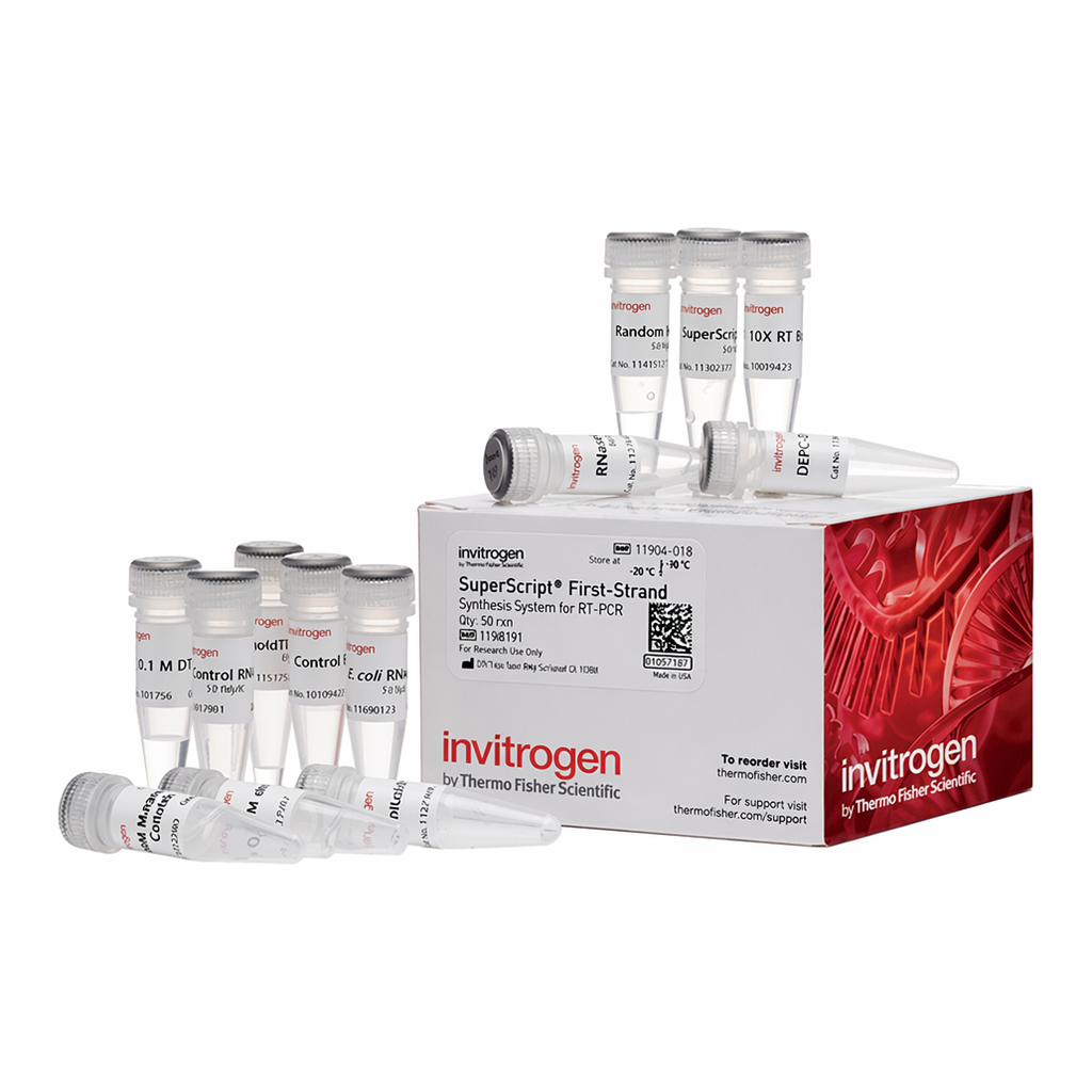 Thermo Fisher Scientific SuperScript First-Strand Synthesis System for RT-PCR
